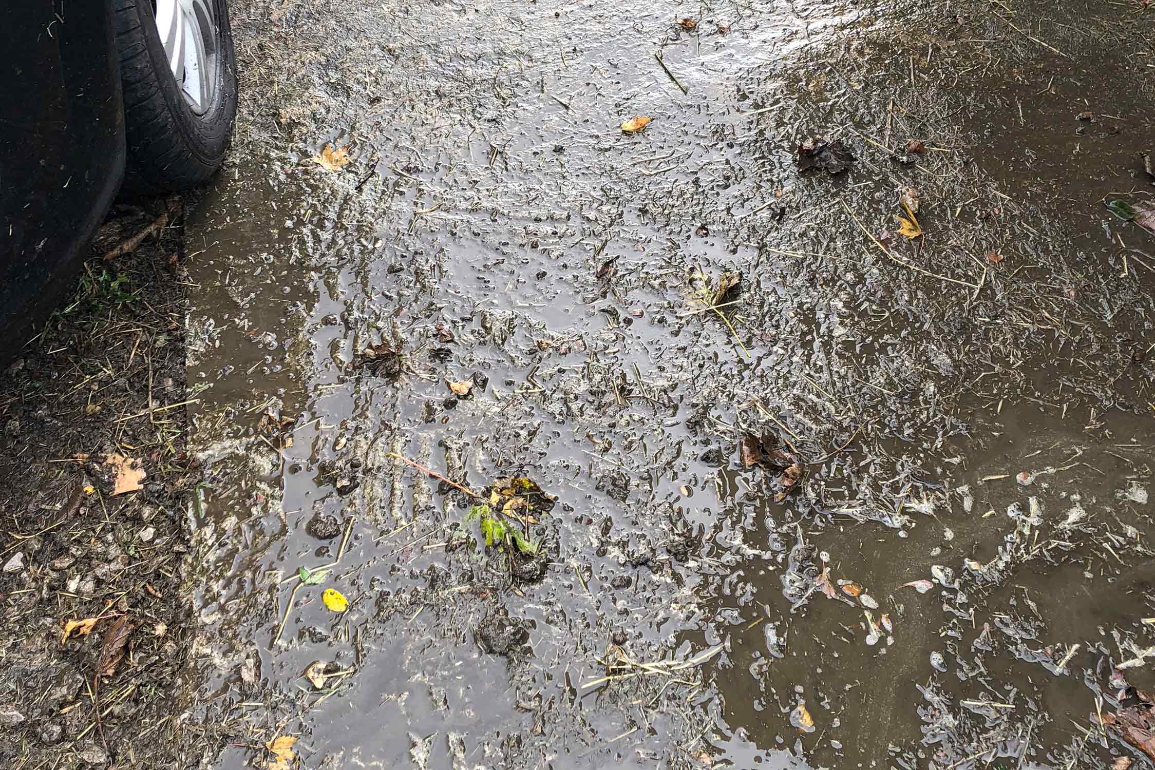 Driveway Cleaning Yorkshire